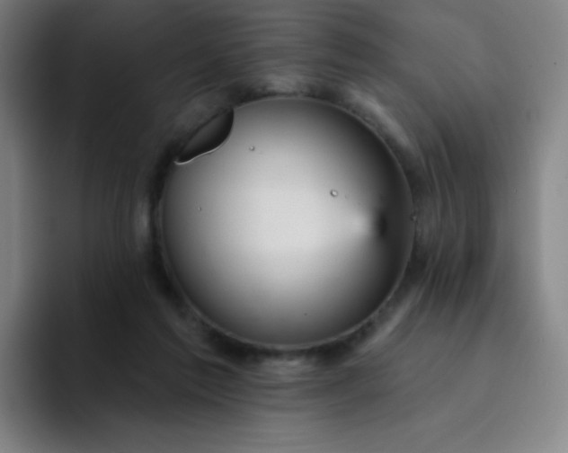 X0000094380213200711162137