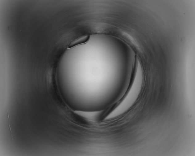 X0000094380217200711162137