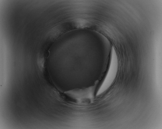 X0000094380219200711162137