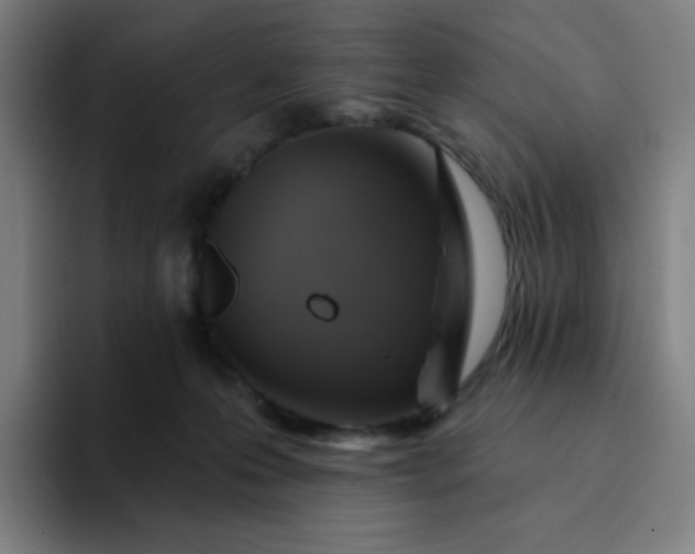 X0000094380223200711162137