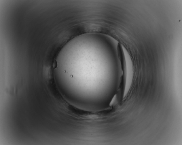 X0000094380224200711162137