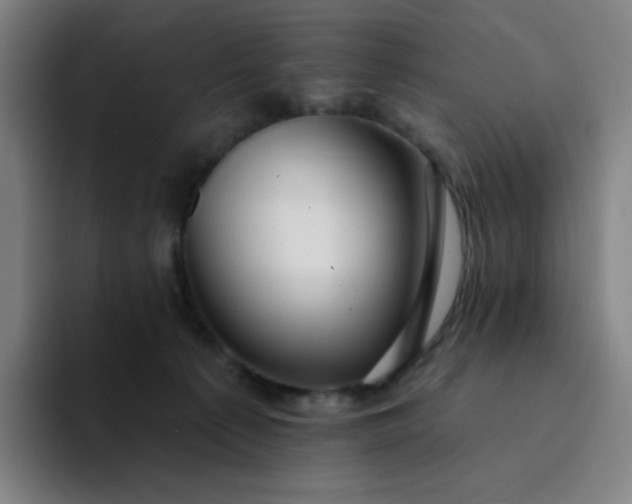 X0000094380225200711162137
