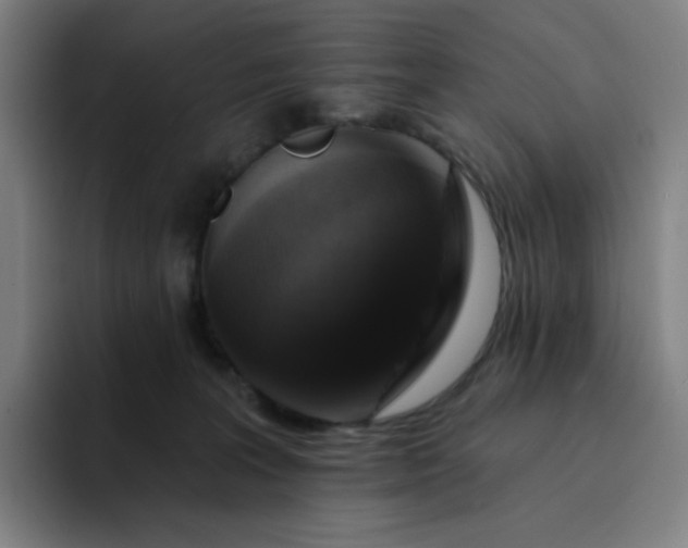 X0000094380227200711162137
