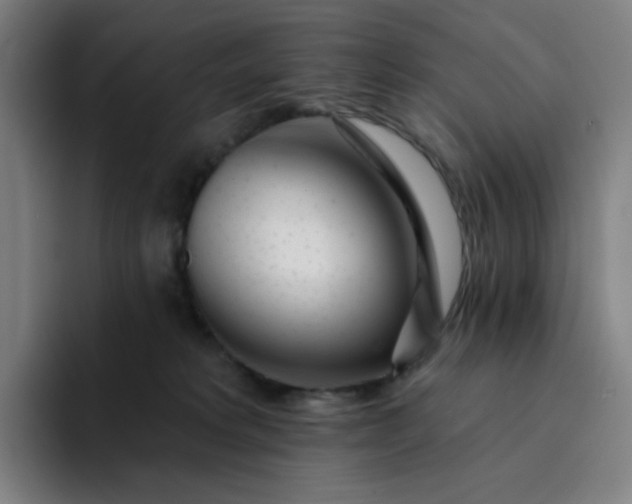 X0000094380229200711162137