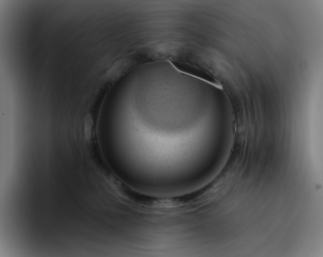 X0000094380231200711162137