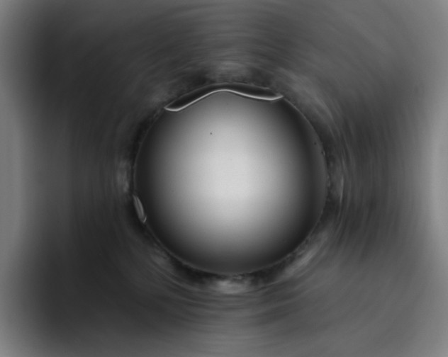 X0000094380232200711162137
