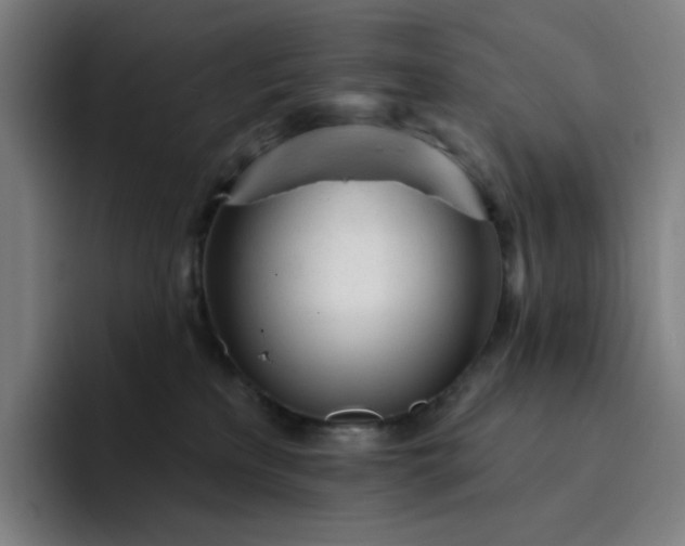 X0000094380233200711162137