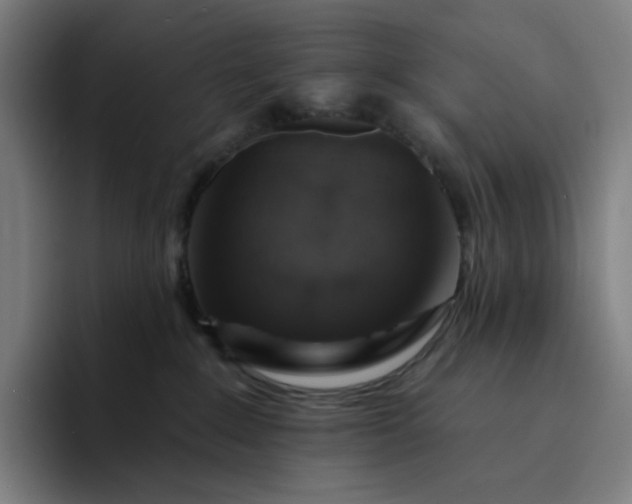 X0000094380235200711162137