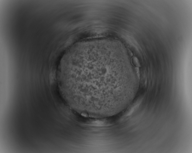 X0000094380236200711162137