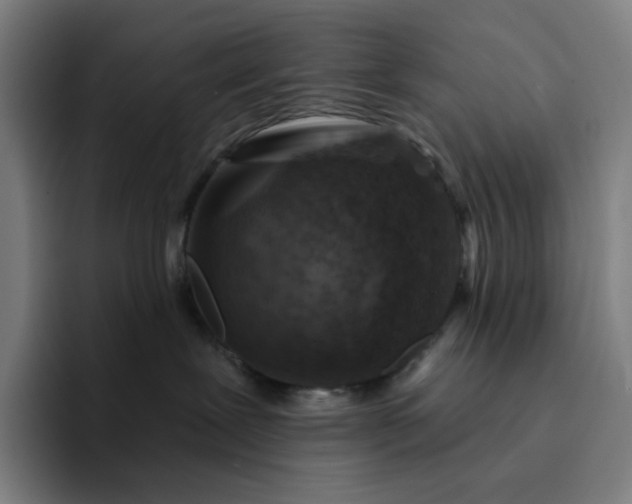 X0000094380239200711162137