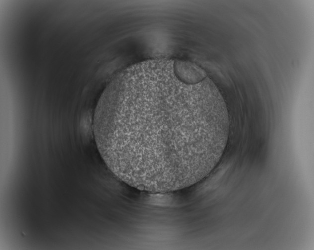 X0000094380240200711162137