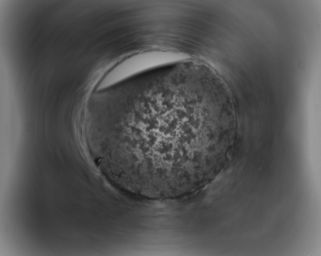 X0000094380241200711162136