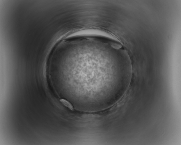 X0000094380242200711162136