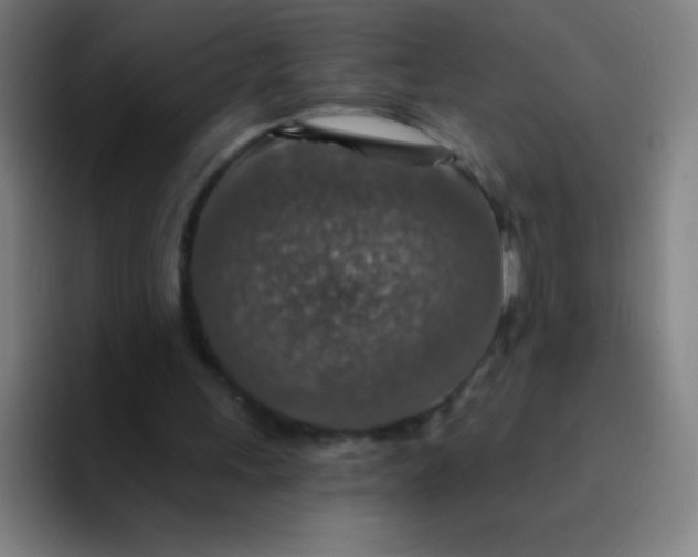 X0000094380243200711162136