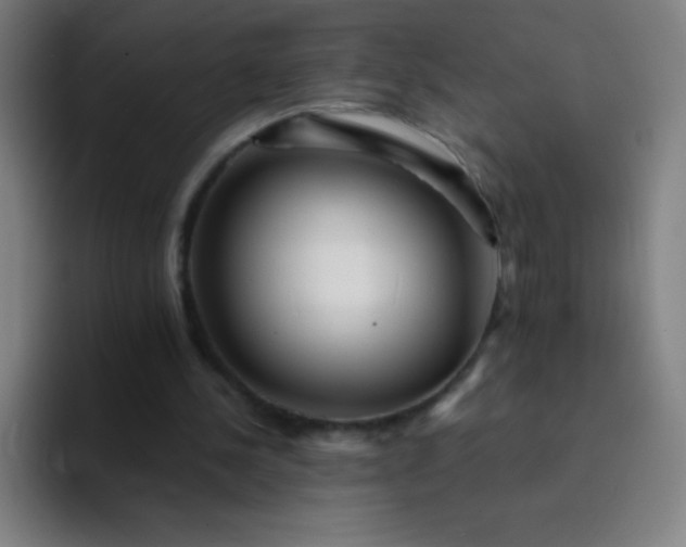 X0000094380244200711162136