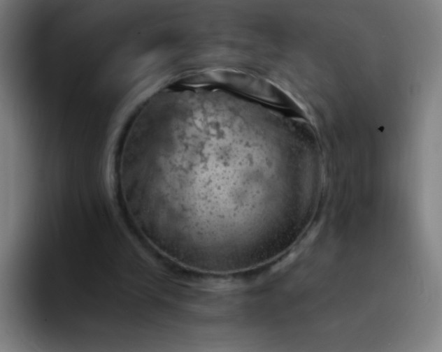X0000094380245200711162136