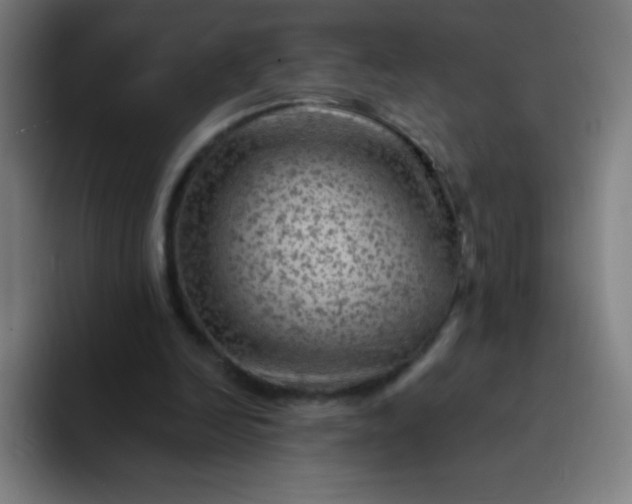 X0000094380246200711162136