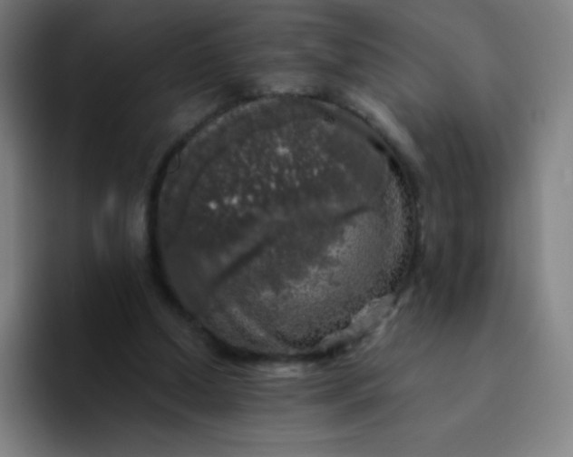 X0000094380250200711162136