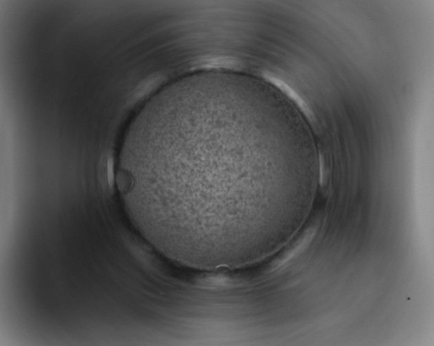 X0000094380253200711162136