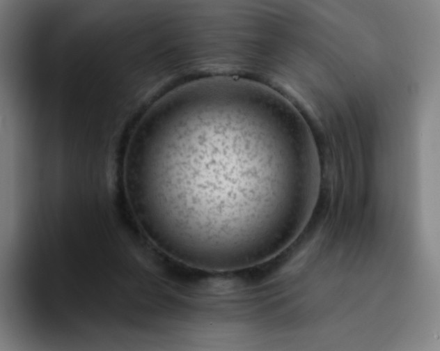 X0000094380255200711162136