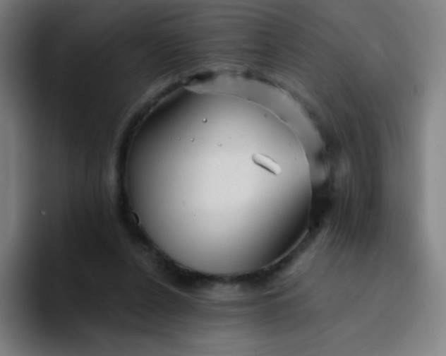 X0000094380256200711162136