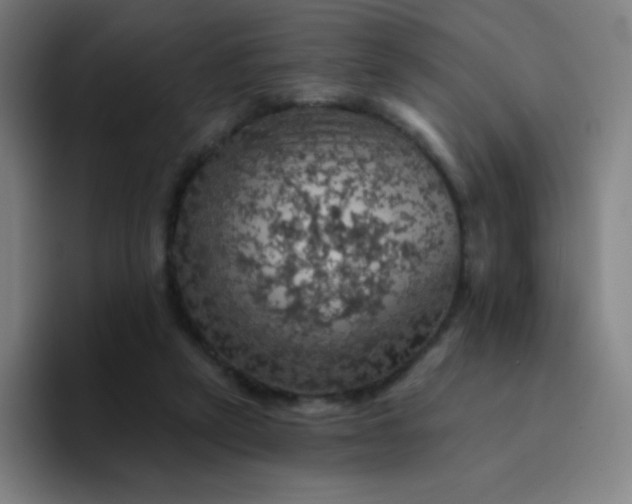 X0000094380257200711162136