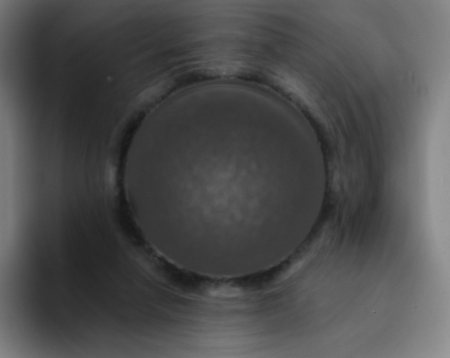 X0000094380258200711162136