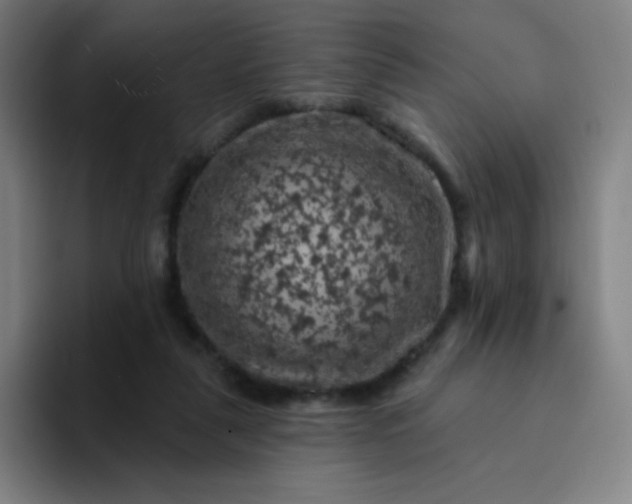 X0000094380259200711162136