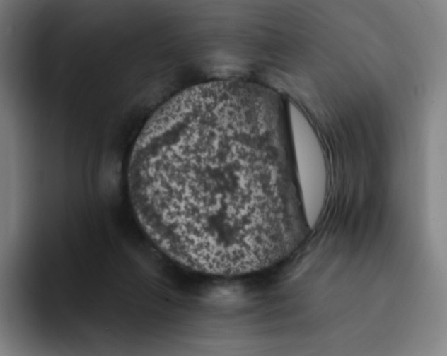 X0000094380263200711162136