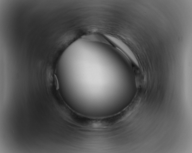 X0000094380264200711162136