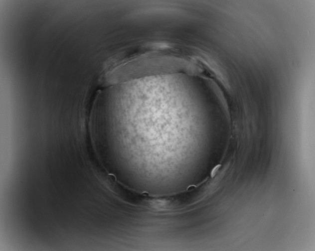 X0000094380265200711162136