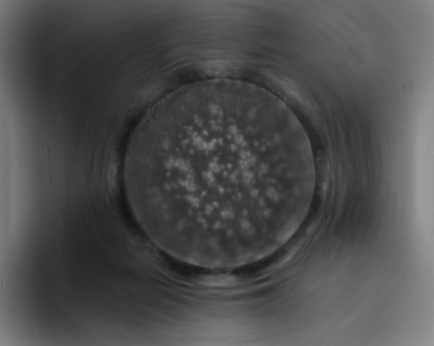X0000094380266200711162136