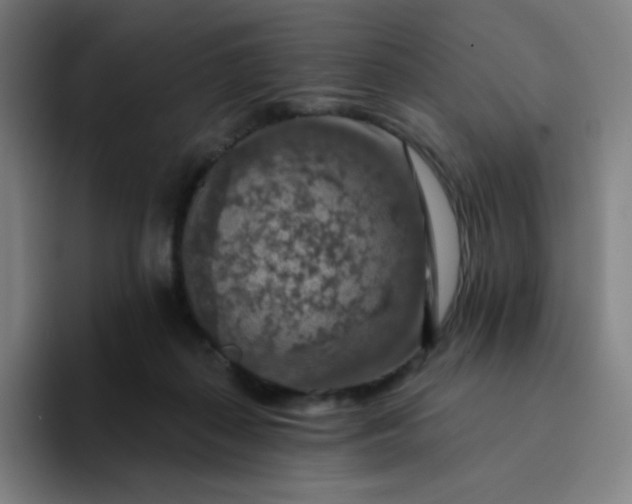 X0000094380267200711162136