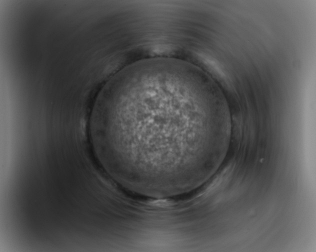X0000094380269200711162136