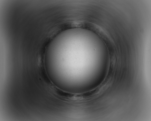 X0000094380270200711162136