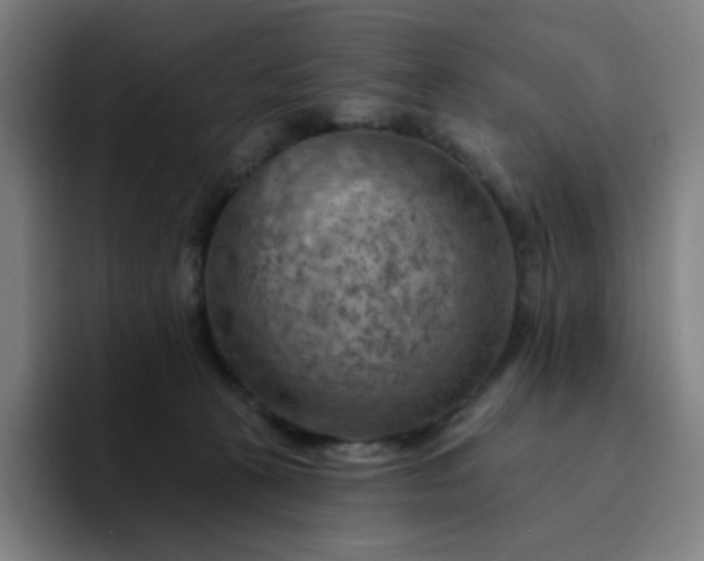 X0000094380273200711162137