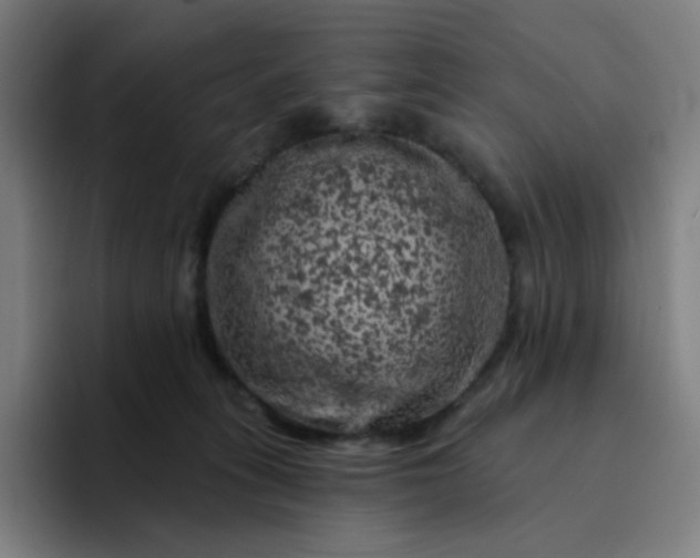 X0000094380275200711162137