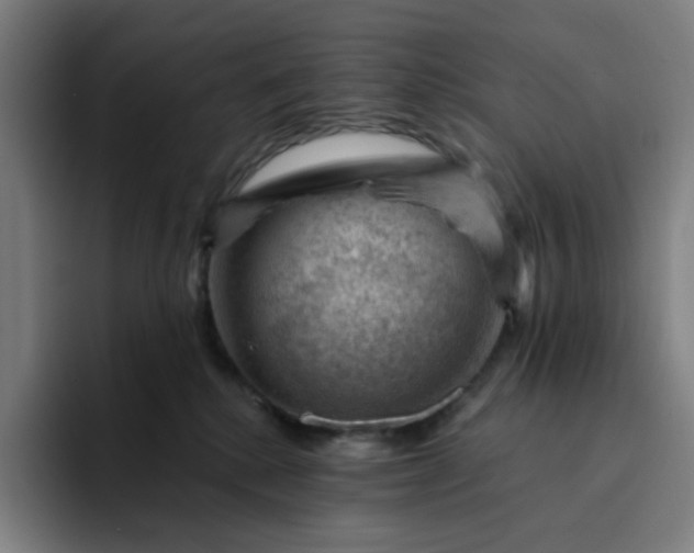 X0000094380280200711162137