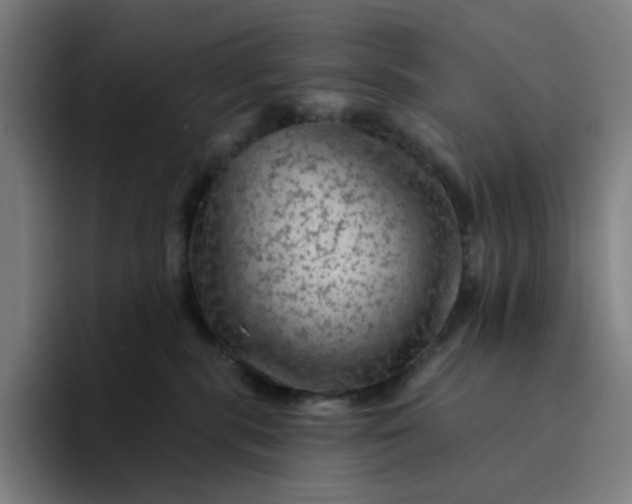 X0000094380283200711162137