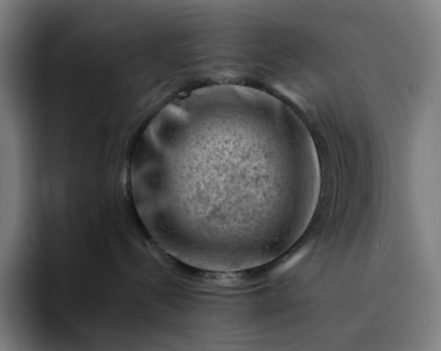 X0000094380288200711162137