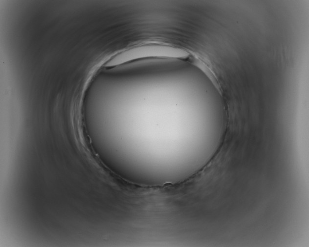 X0000094380289200711162136
