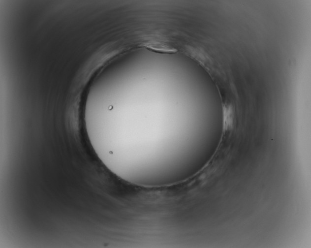X0000094380291200711162136