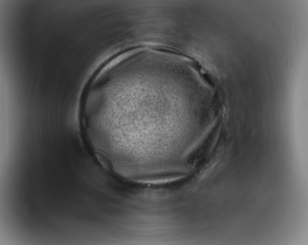 X0000094380292200711162136