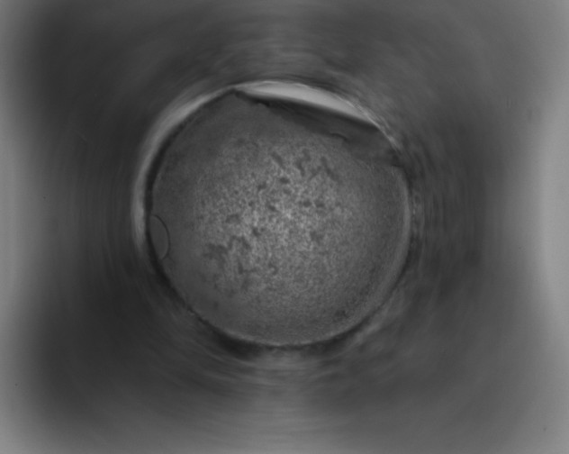 X0000094380294200711162136