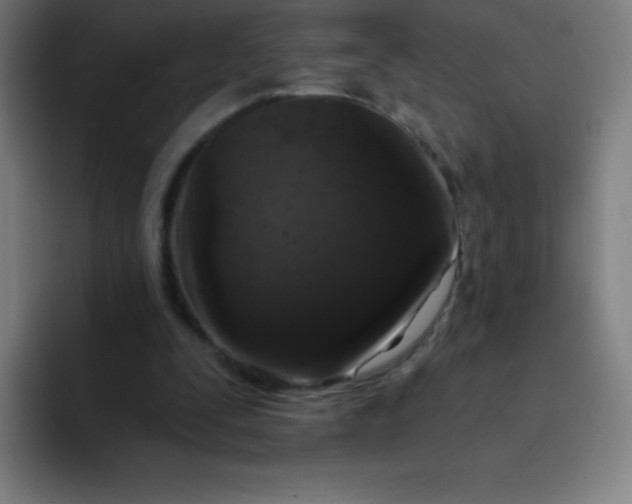 X0000094380295200711162136