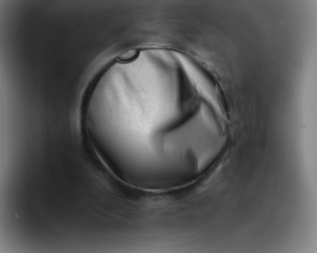 X0000094380296200711162136