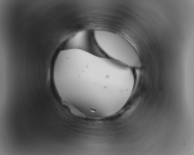 X0000094380301200711162136