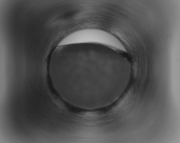 X0000094380303200711162136