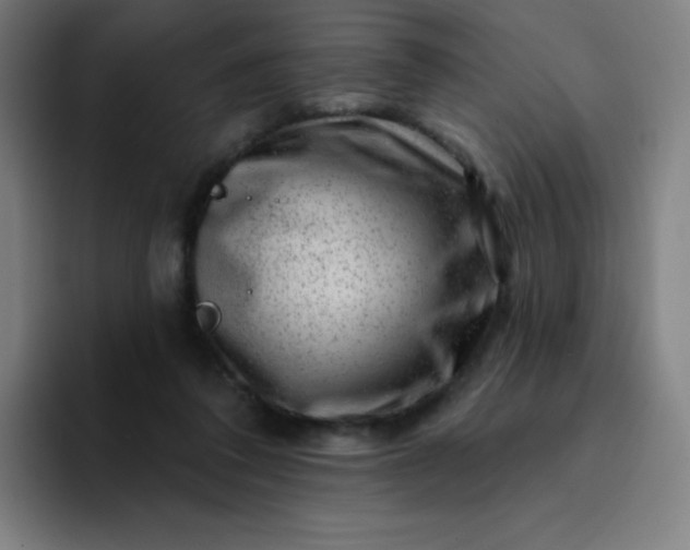 X0000094380308200711162136