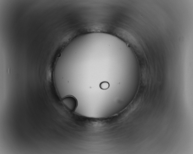 X0000094380310200711162136